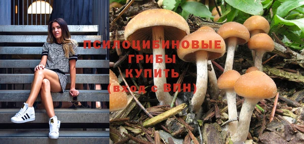 герыч Богородск