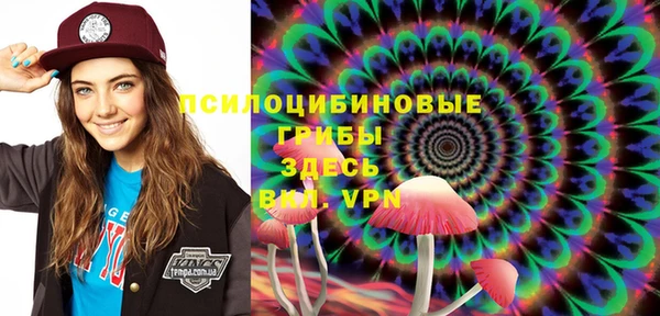 прущий лед Богородицк